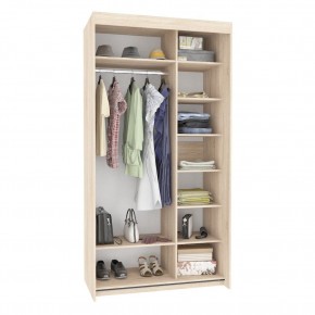 Шкаф-купе T-1-230х120х60 (1-1) в Миассе - miass.mebel24.online | фото