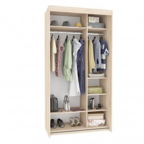 Шкаф-купе T-1-230х120х60 (3-3) в Миассе - miass.mebel24.online | фото