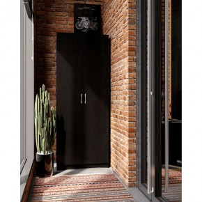 Шкаф ПЕГАС двухдверный, цвет Дуб Венге в Миассе - miass.mebel24.online | фото 4