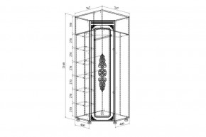 Шкаф платяной Ассоль АС-52К в Миассе - miass.mebel24.online | фото 3