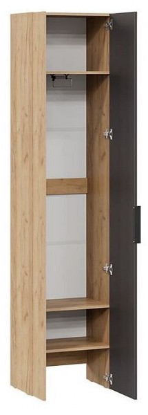 Шкаф платяной Асти в Миассе - miass.mebel24.online | фото 2
