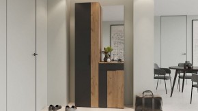 Шкаф платяной Асти в Миассе - miass.mebel24.online | фото 5