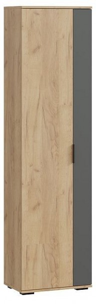 Шкаф платяной Эвита в Миассе - miass.mebel24.online | фото