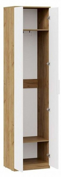 Шкаф платяной Хилтон Исп. 2 в Миассе - miass.mebel24.online | фото 2