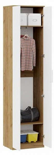 Шкаф платяной Хилтон Исп. 2 в Миассе - miass.mebel24.online | фото 3