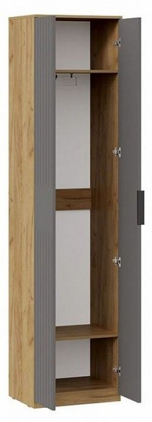 Шкаф платяной Хилтон Исп. 2 в Миассе - miass.mebel24.online | фото 2