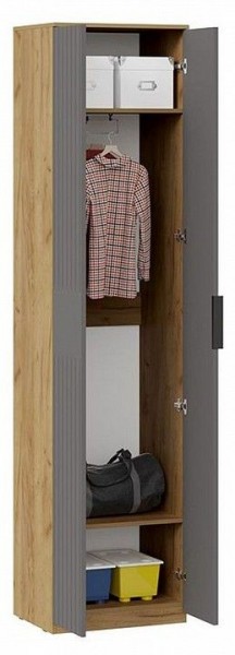 Шкаф платяной Хилтон Исп. 2 в Миассе - miass.mebel24.online | фото 3
