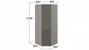 Шкаф платяной Либерти СМ-297.07.033 в Миассе - miass.mebel24.online | фото 3