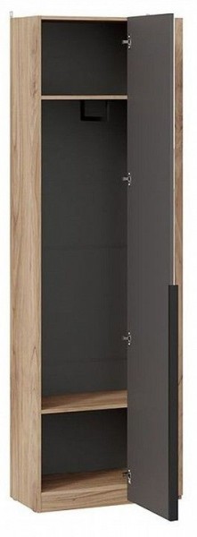 Шкаф платяной Порто СМ-393.07.232 в Миассе - miass.mebel24.online | фото 2