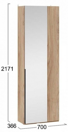 Шкаф платяной Порто СМ-393.07.232 в Миассе - miass.mebel24.online | фото 4