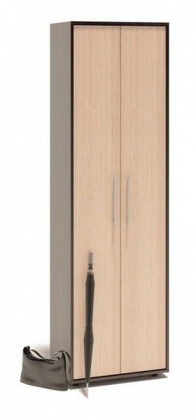Шкаф платяной ШО-1 в Миассе - miass.mebel24.online | фото