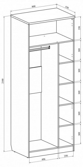 Шкаф платяной Виктория ВИ-11 в Миассе - miass.mebel24.online | фото 5