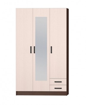 Шкаф распашной Эконом + Зеркало (Венге/Дуб Белфорд) в Миассе - miass.mebel24.online | фото 3