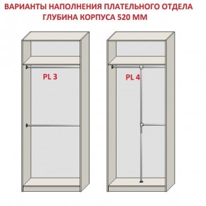 Шкаф распашной серия «ЗЕВС» (PL3/С1/PL2) в Миассе - miass.mebel24.online | фото 10