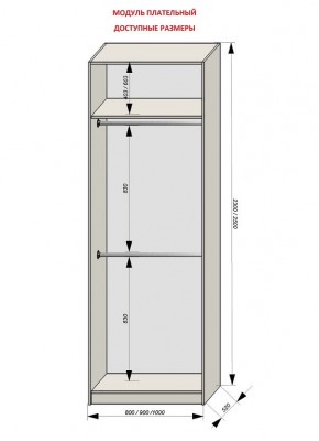 Шкаф распашной серия «ЗЕВС» (PL3/С1/PL2) в Миассе - miass.mebel24.online | фото 12