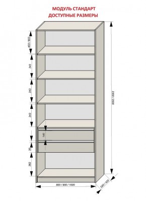 Шкаф распашной серия «ЗЕВС» (PL3/С1/PL2) в Миассе - miass.mebel24.online | фото 13