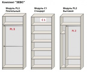 Шкаф распашной серия «ЗЕВС» (PL3/С1/PL2) в Миассе - miass.mebel24.online | фото 2