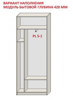 Шкаф распашной серия «ЗЕВС» (PL3/С1/PL2) в Миассе - miass.mebel24.online | фото 4