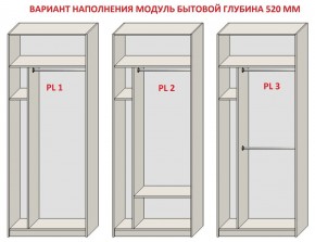 Шкаф распашной серия «ЗЕВС» (PL3/С1/PL2) в Миассе - miass.mebel24.online | фото 5