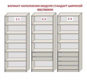 Шкаф распашной серия «ЗЕВС» (PL3/С1/PL2) в Миассе - miass.mebel24.online | фото 6