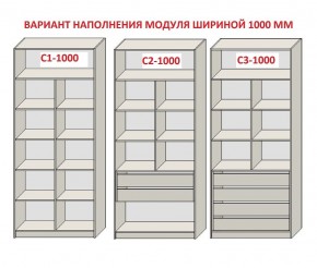 Шкаф распашной серия «ЗЕВС» (PL3/С1/PL2) в Миассе - miass.mebel24.online | фото 7