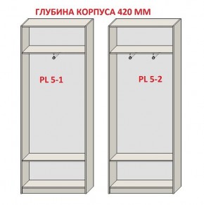 Шкаф распашной серия «ЗЕВС» (PL3/С1/PL2) в Миассе - miass.mebel24.online | фото 8