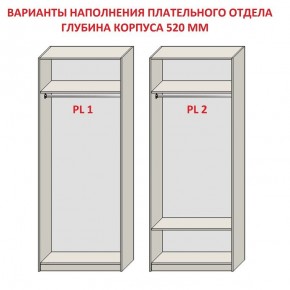 Шкаф распашной серия «ЗЕВС» (PL3/С1/PL2) в Миассе - miass.mebel24.online | фото 9