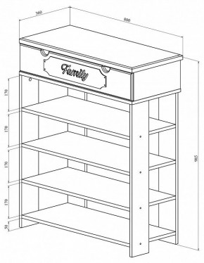 Стеллаж для обуви ДримСтар ДС-20 в Миассе - miass.mebel24.online | фото 5