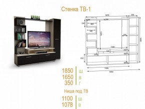 Стенка для гостиной ТВ-1 в Миассе - miass.mebel24.online | фото 2