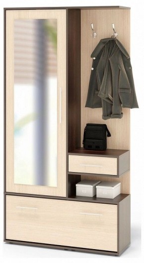 Стенка для прихожей ВШ-6 в Миассе - miass.mebel24.online | фото
