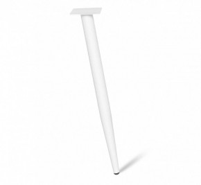 Стол письменный SHT-TU14/TT31 120/65 в Миассе - miass.mebel24.online | фото 6