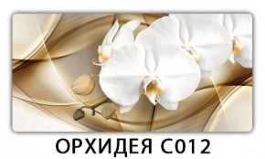 Стол раздвижной Трилогия с фотопечатью Орхидея C013 в Миассе - miass.mebel24.online | фото 13