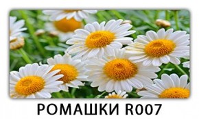 Стол раздвижной Трилогия с фотопечатью Орхидея C013 в Миассе - miass.mebel24.online | фото 15
