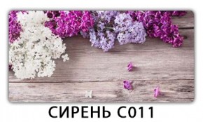 Стол раздвижной Трилогия с фотопечатью Цветы R044 в Миассе - miass.mebel24.online | фото 16