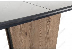 Стол стеклянный Теон 140(180)х80х76 лиственница / графит в Миассе - miass.mebel24.online | фото 10