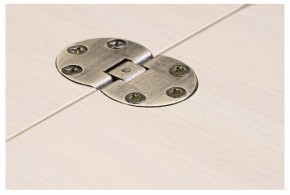 Стол-трансформер Престиж в Миассе - miass.mebel24.online | фото 10