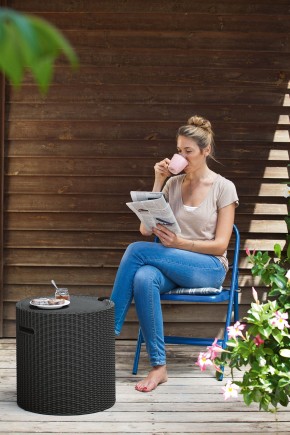 Столик-холодильник Кул-Стул (Cool stool) коричневый в Миассе - miass.mebel24.online | фото 2