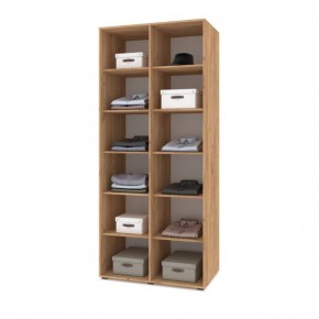 СТОУН С23 Шкаф 2-х створчатый (дуб золотой/графит) в Миассе - miass.mebel24.online | фото 3