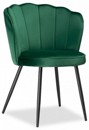 Стул Coral в Миассе - miass.mebel24.online | фото