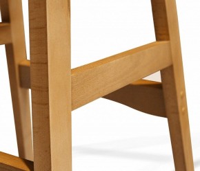 Стул обеденный SHT-ST29/S65-1 в Миассе - miass.mebel24.online | фото 5