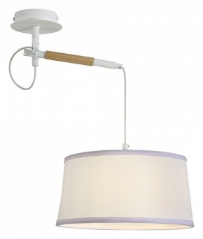 Светильник на штанге F-promo Eureka 3005-1P в Миассе - miass.mebel24.online | фото 4