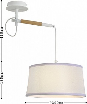 Светильник на штанге F-promo Eureka 3005-1P в Миассе - miass.mebel24.online | фото 5