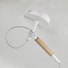 Светильник на штанге F-promo Eureka 3005-1P в Миассе - miass.mebel24.online | фото 8