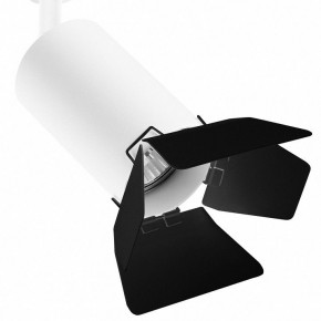 Светильник на штанге Lightstar Rullo R1T436437 в Миассе - miass.mebel24.online | фото 2