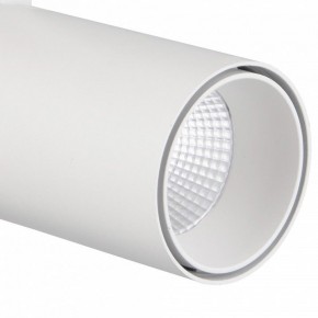 Светильник на штанге Mantra Fuji 7204 в Миассе - miass.mebel24.online | фото 4
