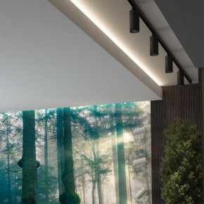 Светильник на штанге Novotech Dep 358595 в Миассе - miass.mebel24.online | фото 3