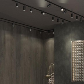 Светильник на штанге Novotech Elina 370777 в Миассе - miass.mebel24.online | фото 4