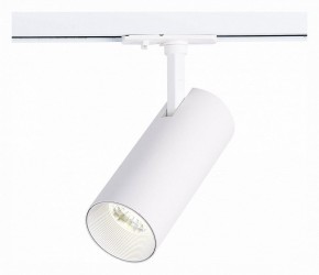Светильник на штанге ST-Luce Mono ST350.536.20.36 в Миассе - miass.mebel24.online | фото 2