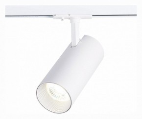 Светильник на штанге ST-Luce Mono ST350.536.30.36 в Миассе - miass.mebel24.online | фото 2