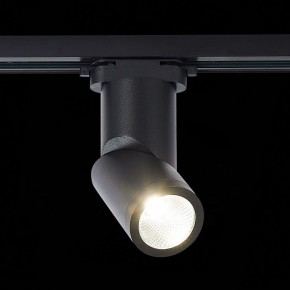Светильник на штанге ST-Luce ST650 ST650.436.10 в Миассе - miass.mebel24.online | фото 3